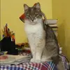 Отзыв от София Уткина